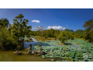 0108_laos_a_kambodza_s_ck_alpina_13_11_2024.jpg