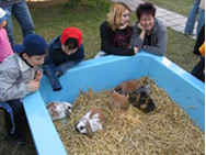 action_196_photo_3_d.jpg