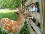 action_75_photo_1_d.jpg