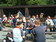 action_75_photo_2_d.jpg