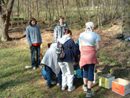 action_77_photo_1_d.jpg
