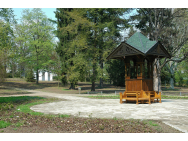 dendro_pluschaloupky_030_1.jpg