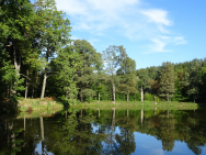 dsc08165_jpg.jpg