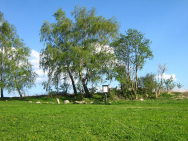 kamenny_kruh.jpg