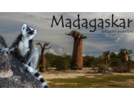 madagaskar.jpg