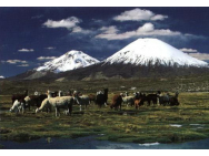 parinacota1.jpg