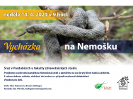 plakat_2_nemoska.jpg