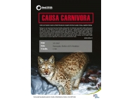plakat_causa_carnivora_natura_park_page_001.jpg
