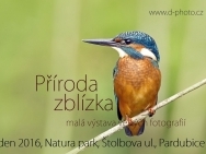 plakat_pardubice.jpg