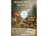 prochazka_4.png
