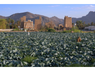 sa_najran_jpg_1.jpg