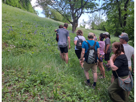 20260527_164656_1.jpg
