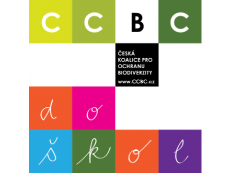 ccbcdoskol_logobarvy_08_od8ugjzenxkw8fwyjtw1i9l3g1n2zvspa8som1le1w.png