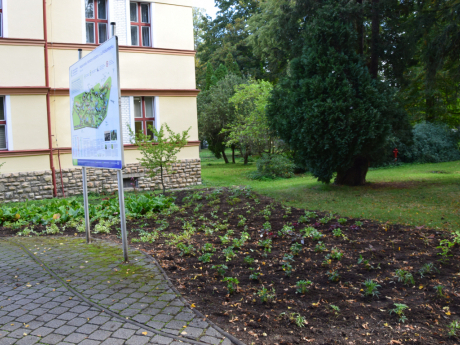 Foto: Spolek přátel Hamzova parku a arboreta