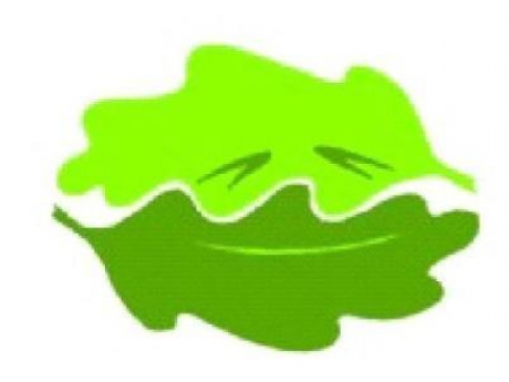 logo_pardoubek.jpg