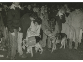 Ekostory - demonstrace v Teplicích 1989 (foto: Věra Bartošková)